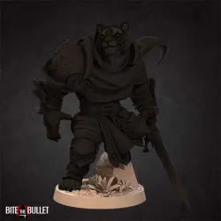 Tabaxi Paladin