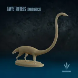 Tanystropheus longobardicus: The Long necked Reptile