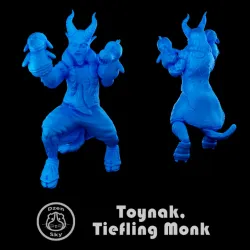 TOYNAK, TIEFLING MONK (DND)