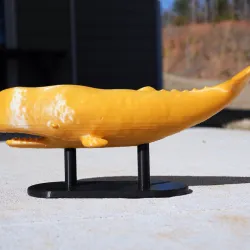 Whale