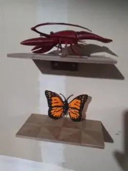 Wooden Shelf