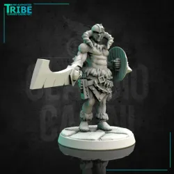 (0130) Male barbarian viking human elf tiefling half orc with big sword and shield