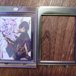 35pt Magnetic Toploader Case
