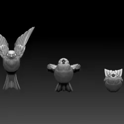 birds