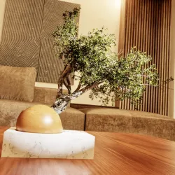 Bonsai Modern Pot