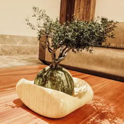 Bonsai Planter for Kokedama Art