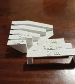 bridge test