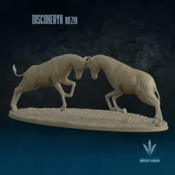 Discokeryx xiezhi : Clash