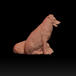 dogs
