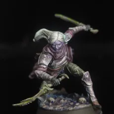 Drow Infiltrator