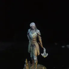 Drow Warrior