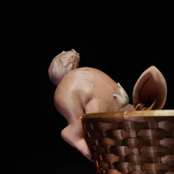 Easter Bunny Baskets - Curious Bunny