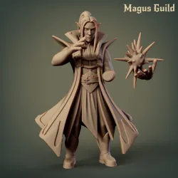 Elf Sorcerer – MG2.5
