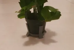 Flower saucer for small flowerpot