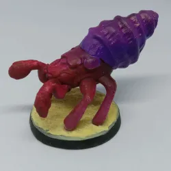 Hermit Crab