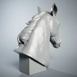 Horse Head Portrait