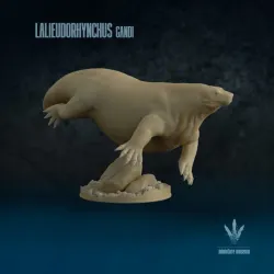 Lalieudorhynchus gandi : Swimming