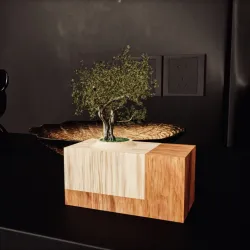 Mini Magnetic Modern Plant Pot - Bonsai Pot
