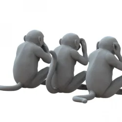 monkey