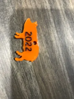 Pig