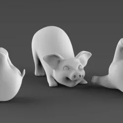 pig