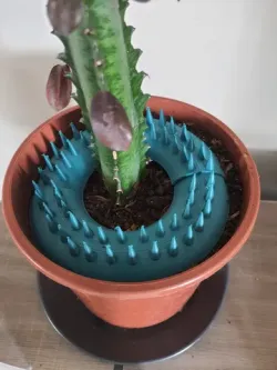 Protege plante