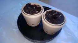 Seedling Planter