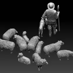 shepherd and sheep