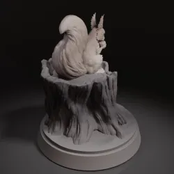 Squirrel
