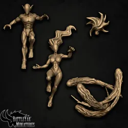 Starweaver Binary System