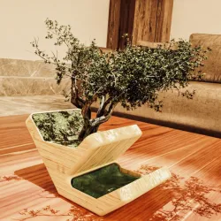 Two Tier Bonsai Planter