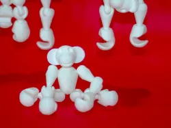 Ape