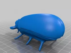Beetle
