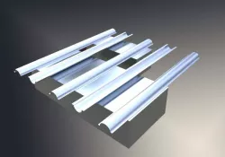 Cap section