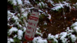 coca cola botel