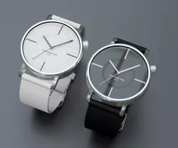 MONOTONE WATCH