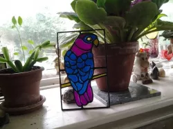 Parrot2