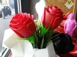 Super Rose