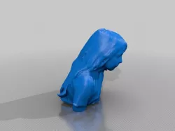 taraa