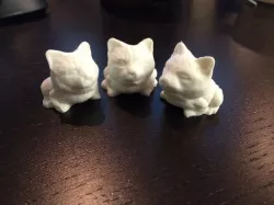 Toad Cat