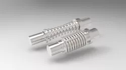 Worm gear