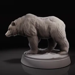 Bear