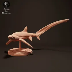 Big Eye Thresher Shark