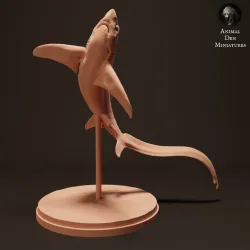 Big Eye Thresher Shark Jumping