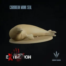 Caribbean monk seal : Neomonachus tropicalis