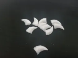Cat Claw