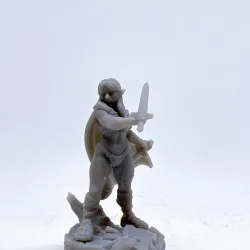 Female elf warrior