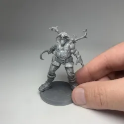 firbolg v1