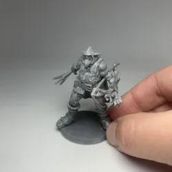 firbolg v3