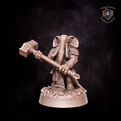 Loxodon Priest